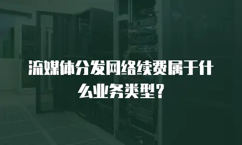 流媒体分发网络续费属于什么业务类型？
