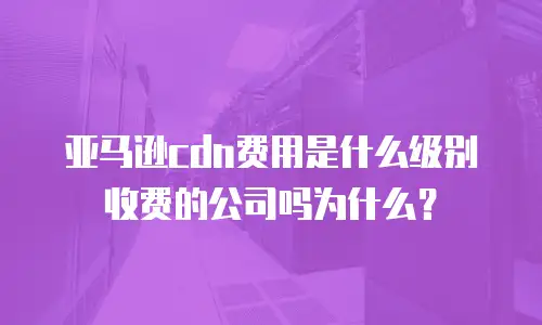 亚马逊cdn费用是什么级别收费的公司吗为什么？