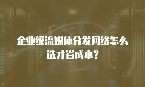 企业级流媒体分发网络怎么选才省成本？