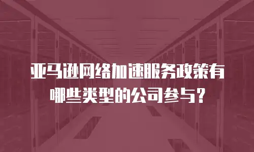 亚马逊网络加速服务政策有哪些类型的公司参与？