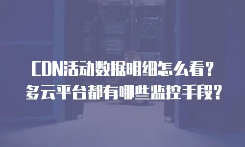 CDN活动数据明细怎么看？多云平台都有哪些监控手段？