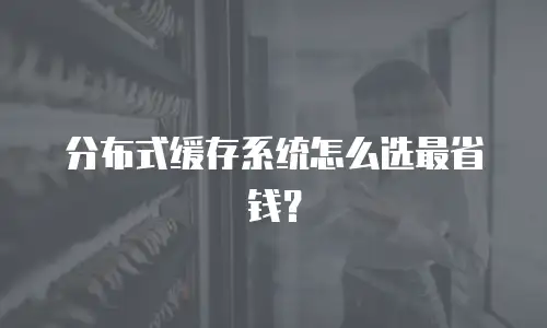 分布式缓存系统怎么选最省钱？
