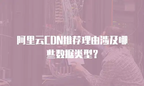 阿里云CDN推荐理由涉及哪些数据类型？