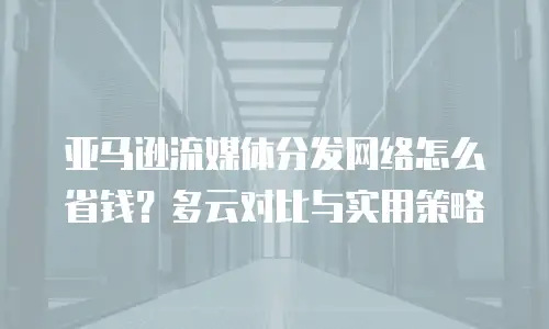 亚马逊流媒体分发网络怎么省钱？多云对比与实用策略