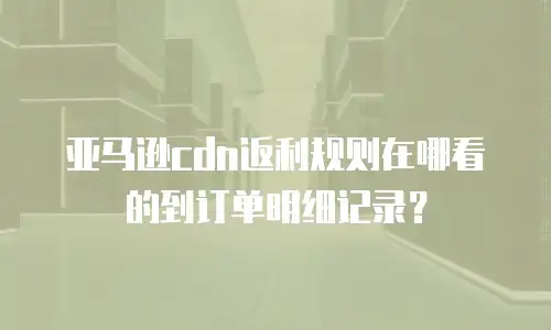 亚马逊cdn返利规则在哪看的到订单明细记录？