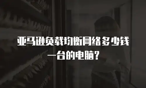 亚马逊负载均衡网络多少钱一台的电脑？