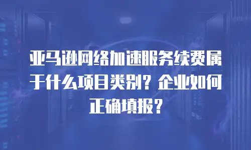 亚马逊网络加速服务续费属于什么项目类别？企业如何正确填报？