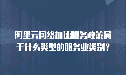 阿里云网络加速服务政策属于什么类型的服务业类别？
