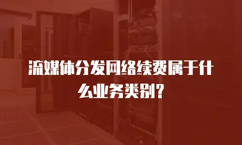 流媒体分发网络续费属于什么业务类别？