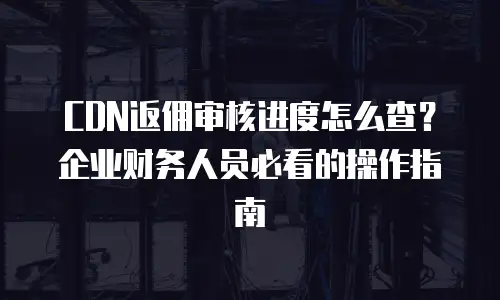 CDN返佣审核进度怎么查？企业财务人员必看的操作指南