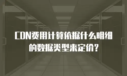 CDN费用计算依据什么明细的数据类型来定价？