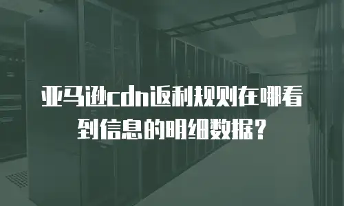 亚马逊cdn返利规则在哪看到信息的明细数据？