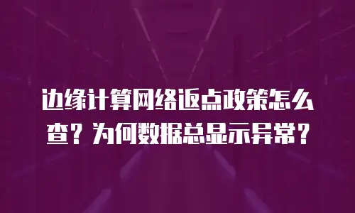 边缘计算网络返点政策怎么查？为何数据总显示异常？