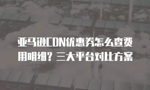 亚马逊CDN优惠券怎么查费用明细？三大平台对比方案