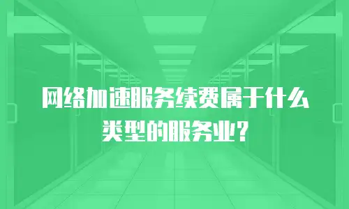 网络加速服务续费属于什么类型的服务业？