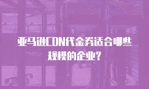 亚马逊CDN代金券适合哪些规模的企业？
