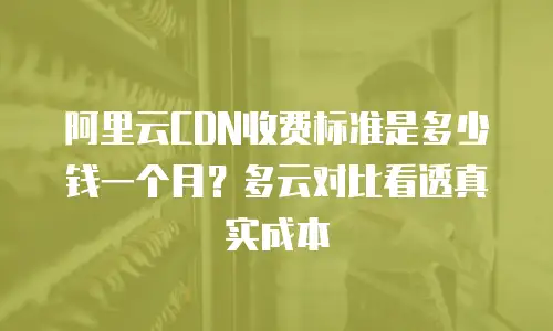 阿里云CDN收费标准是多少钱一个月？多云对比看透真实成本
