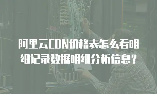 阿里云CDN价格表怎么看明细记录数据明细分析信息？