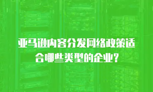 亚马逊内容分发网络政策适合哪些类型的企业？