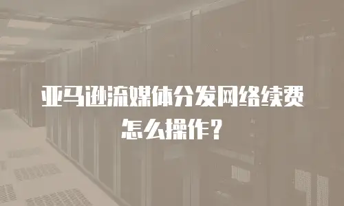 亚马逊流媒体分发网络续费怎么操作？