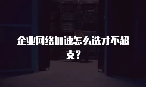 企业网络加速怎么选才不超支？