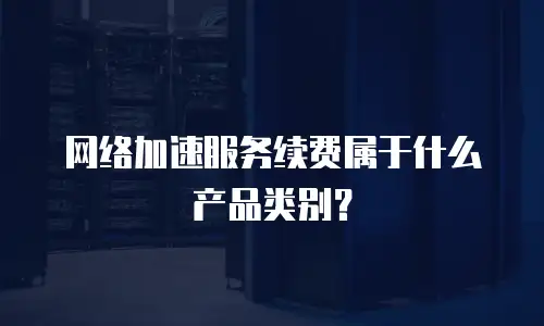 网络加速服务续费属于什么产品类别？