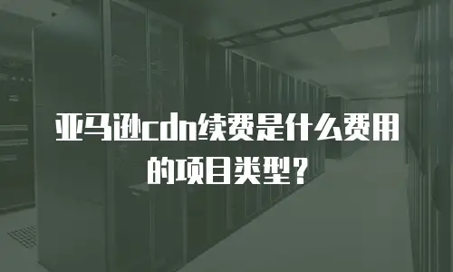 亚马逊cdn续费是什么费用的项目类型？