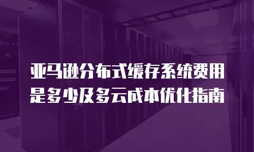 亚马逊分布式缓存系统费用是多少及多云成本优化指南