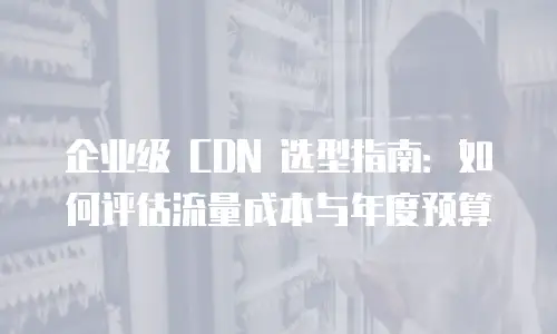 企业级 CDN 选型指南：如何评估流量成本与年度预算