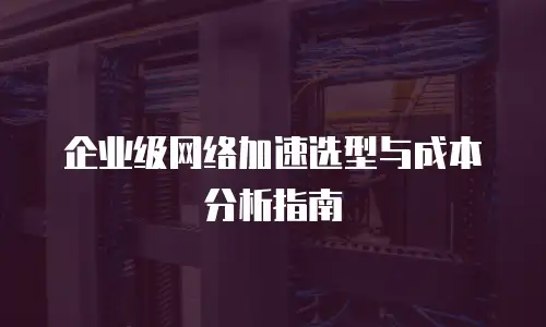 企业级网络加速选型与成本分析指南