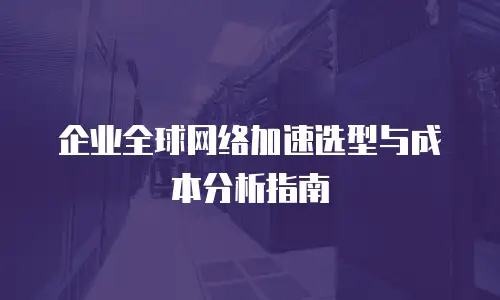 企业全球网络加速选型与成本分析指南