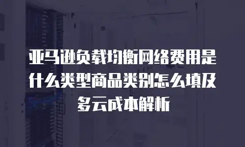 亚马逊负载均衡网络费用是什么类型商品类别怎么填及多云成本解析