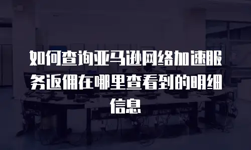 如何查询亚马逊网络加速服务返佣在哪里查看到的明细信息