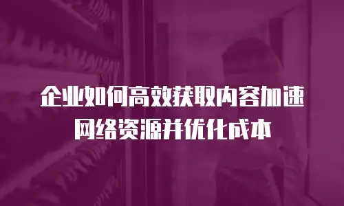 企业如何高效获取内容加速网络资源并优化成本