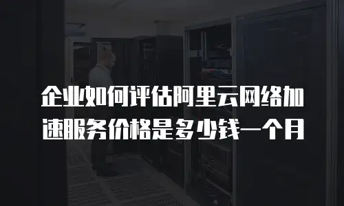 企业如何评估阿里云网络加速服务价格是多少钱一个月