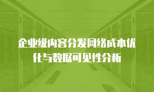 企业级内容分发网络成本优化与数据可见性分析