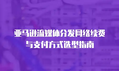 亚马逊流媒体分发网络续费与支付方式选型指南
