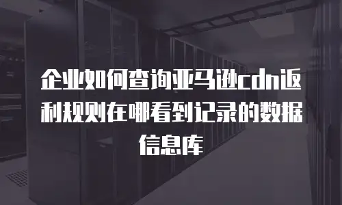 企业如何查询亚马逊cdn返利规则在哪看到记录的数据信息库