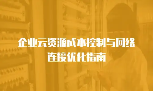 企业云资源成本控制与网络连接优化指南