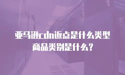 亚马逊cdn返点是什么类型商品类别是什么？