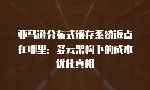 亚马逊分布式缓存系统返点在哪里：多云架构下的成本优化真相