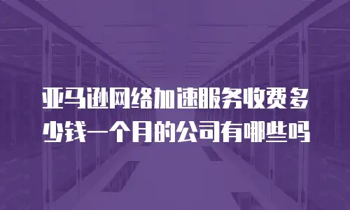 亚马逊网络加速服务收费多少钱一个月的公司有哪些吗