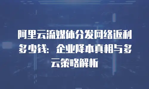 阿里云流媒体分发网络返利多少钱：企业降本真相与多云策略解析