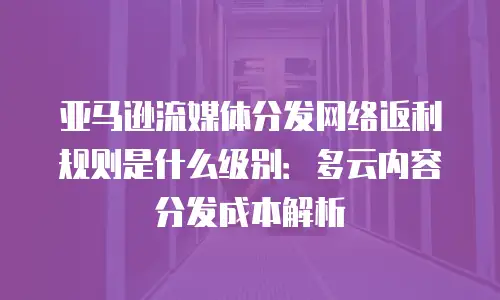 亚马逊流媒体分发网络返利规则是什么级别：多云内容分发成本解析