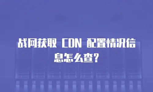 战网获取 CDN 配置情况信息怎么查？