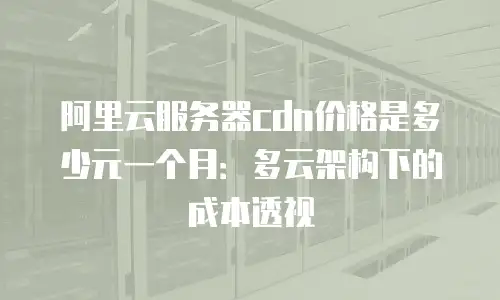 阿里云服务器cdn价格是多少元一个月：多云架构下的成本透视