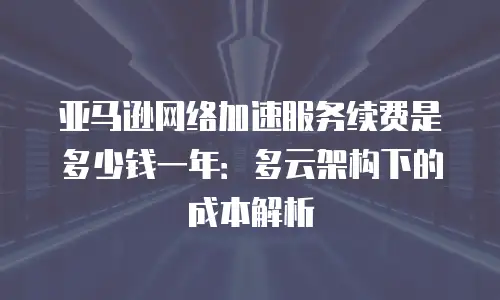 亚马逊网络加速服务续费是多少钱一年：多云架构下的成本解析