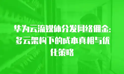 华为云流媒体分发网络佣金：多云架构下的成本真相与优化策略