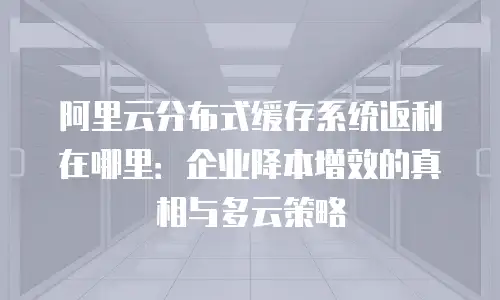 阿里云分布式缓存系统返利在哪里：企业降本增效的真相与多云策略