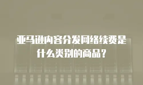 亚马逊内容分发网络续费是什么类别的商品？